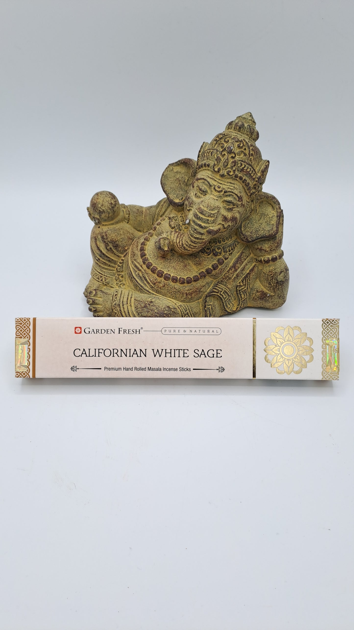 Salvia Bianca Californiana