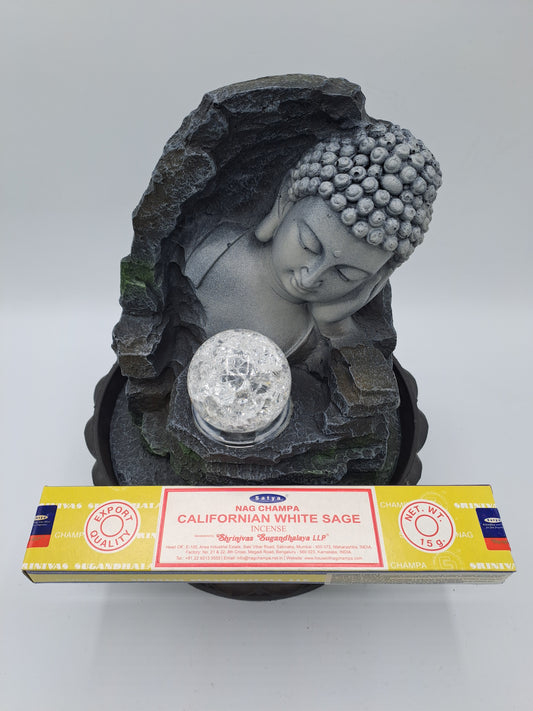 Salvia Bianca [Satya]