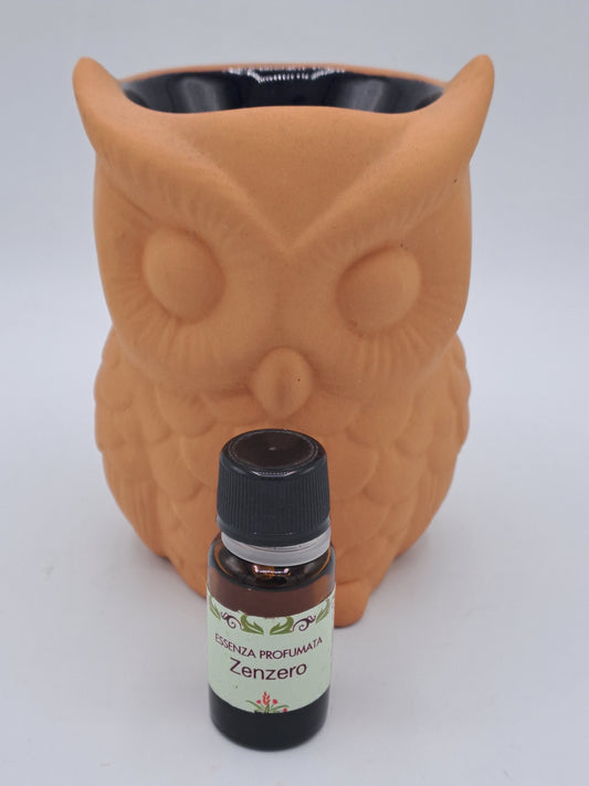 Zenzero [Compagnia delle Erbe]